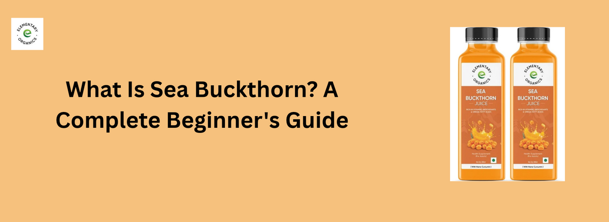 What Is Sea Buckthorn? A Complete Beginner's Guide